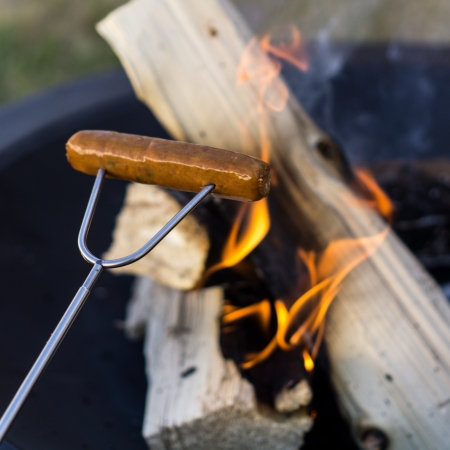 Marshmallow Roasting Sticks (Okay, they're for hot dogs, too)