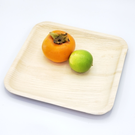 10" Palm Leaf Heavy Duty Disposable Plates - Set of 25