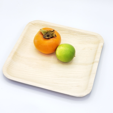 6" Square Heavy Duty Disposable Palm Leaf Plates - Set of 50