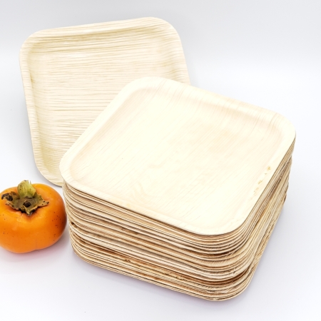 10" Palm Leaf Heavy Duty Disposable Plates - Set of 25