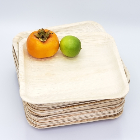 10" Palm Leaf Heavy Duty Disposable Plates - Set of 25