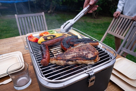 Zephyr Fan-Powered Portable Charcoal Grill